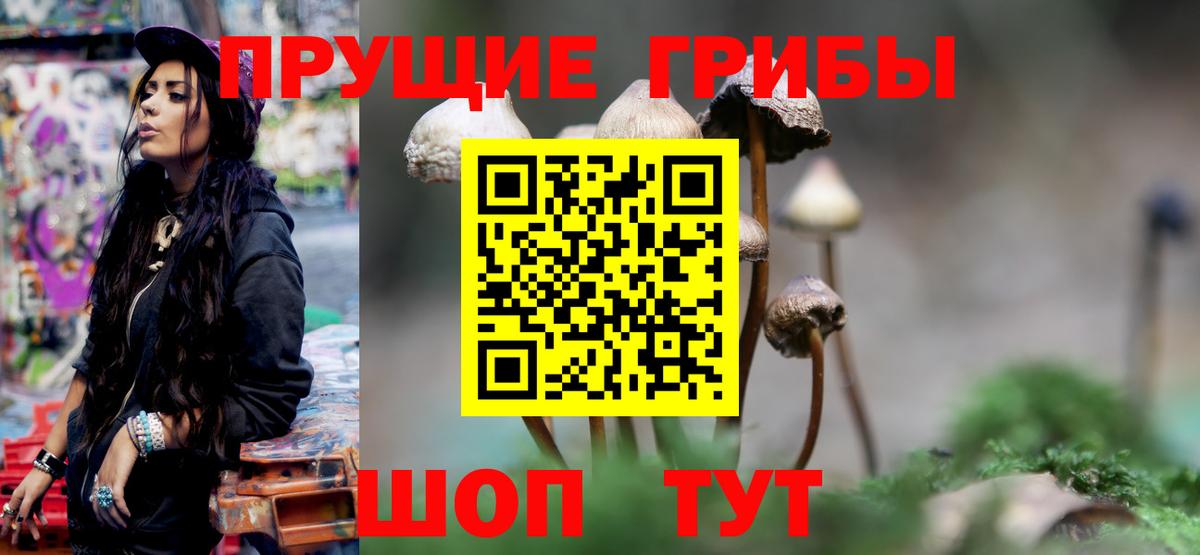 Псилоцибиновые грибы MAGIC MUSHROOMS Лиски